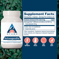 Ayush Herbs Ashwagandha capsules pouring to show capsule texture