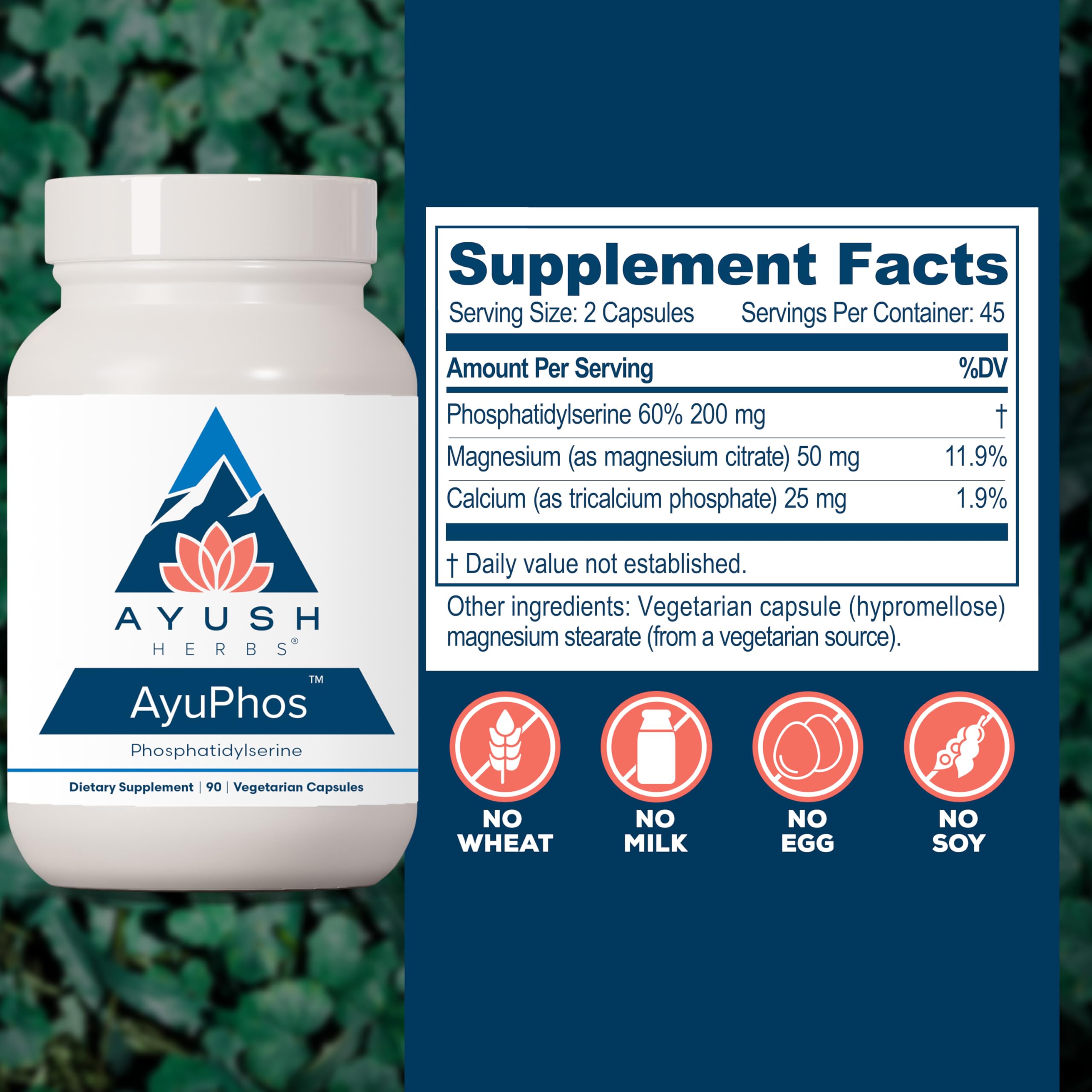 AyuPhos capsules close-up ready for memory and focus support