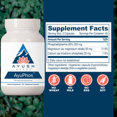 AyuPhos capsules close-up ready for memory and focus support