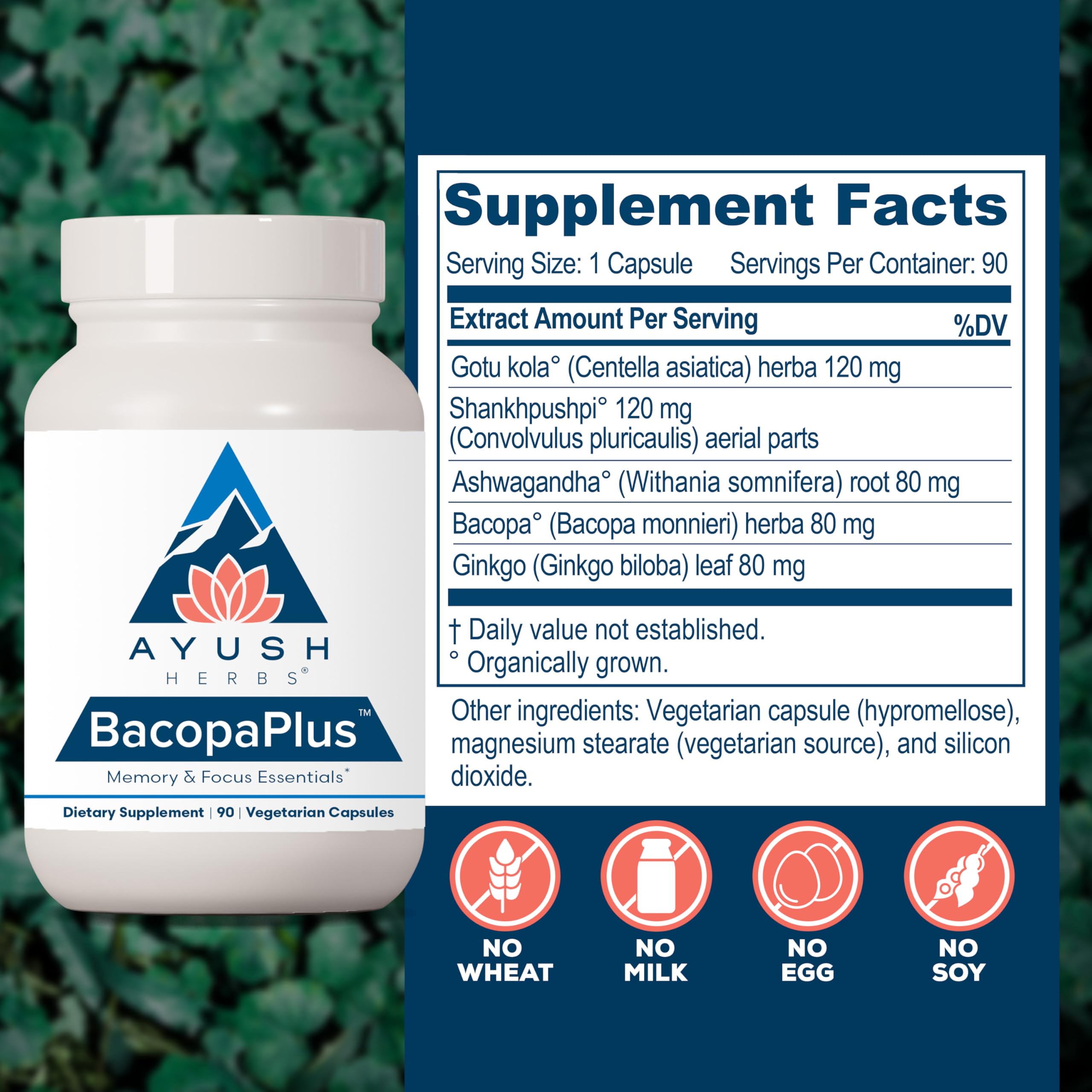 Ayush Herbs BacopaPlus ingredients label shows bacopa and gotu kola for brain health