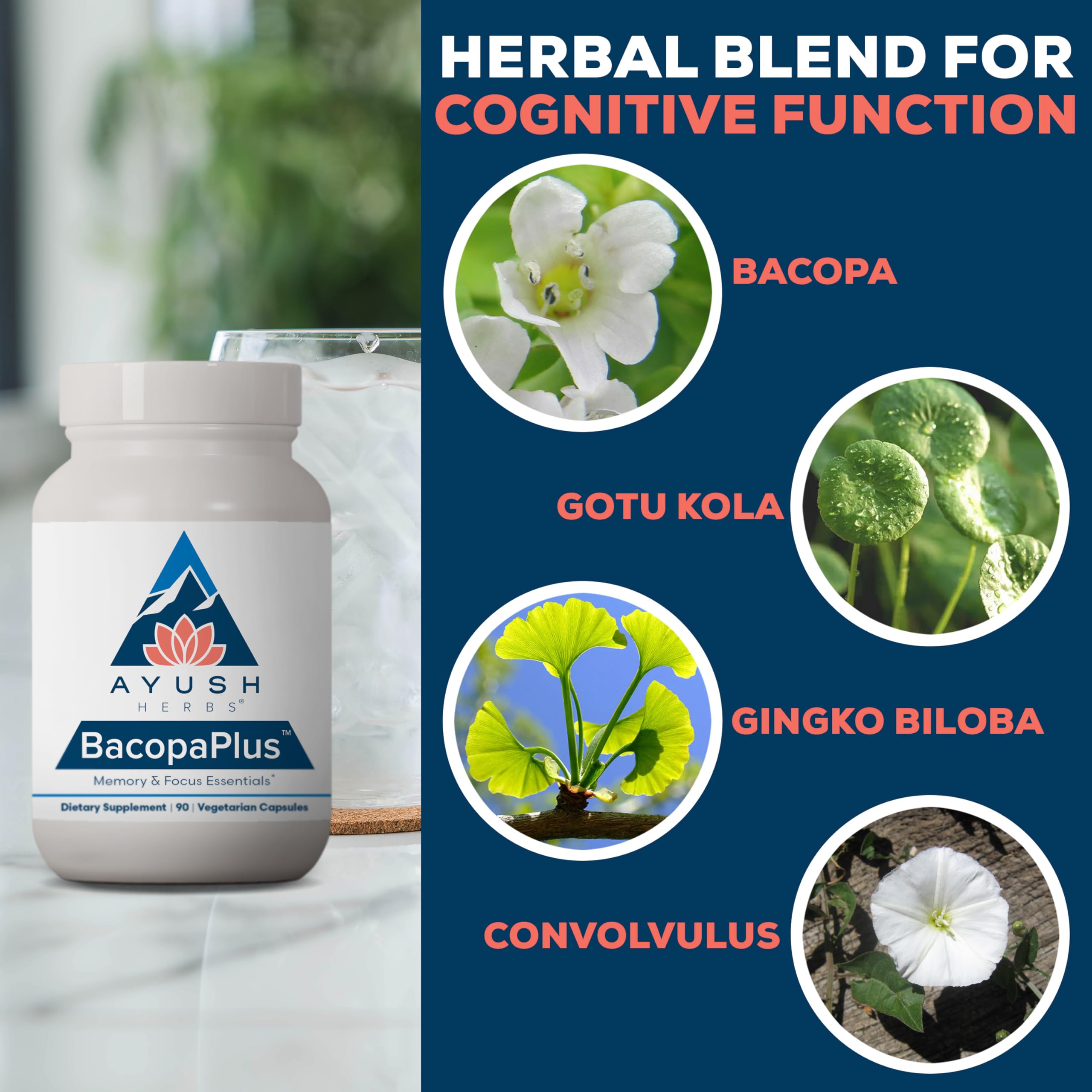 Ayush Herbs BacopaPlus bottle label emphasizes ginkgo biloba for antioxidant brain support