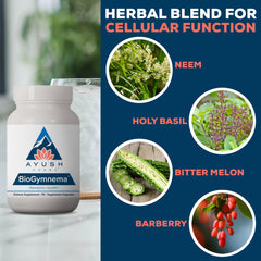 Ayush Herbs BioGymnema ingredients panel featuring gymnema and bitter melon for balance.