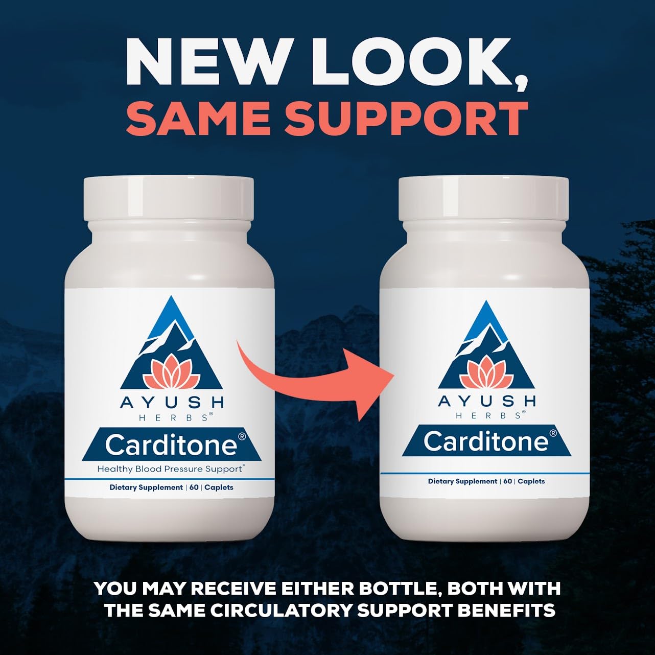 Close-up of Ayush Herbs Carditone capsules showing smooth vegetarian caplets