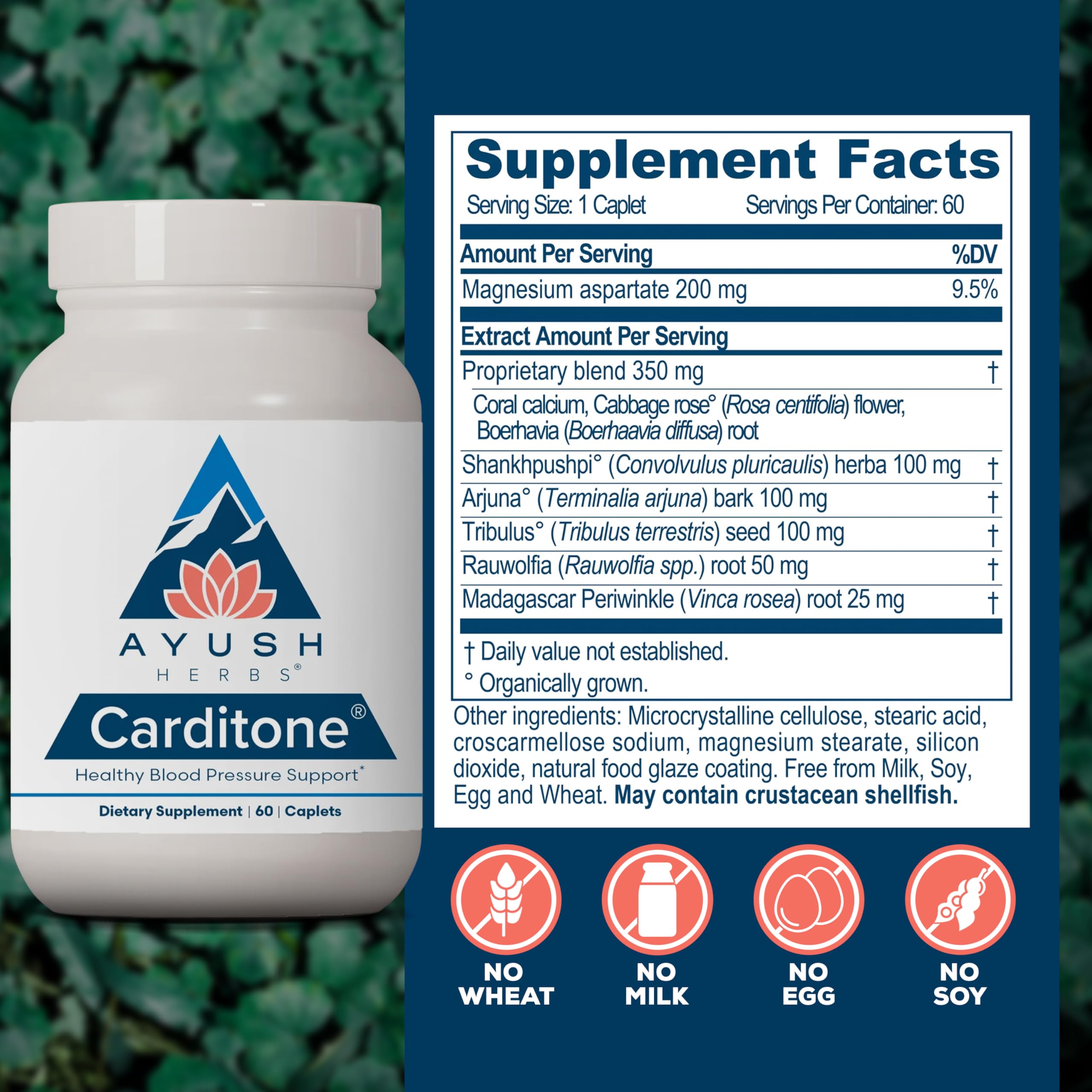 Carditone being taken with water to support daily wellness routine