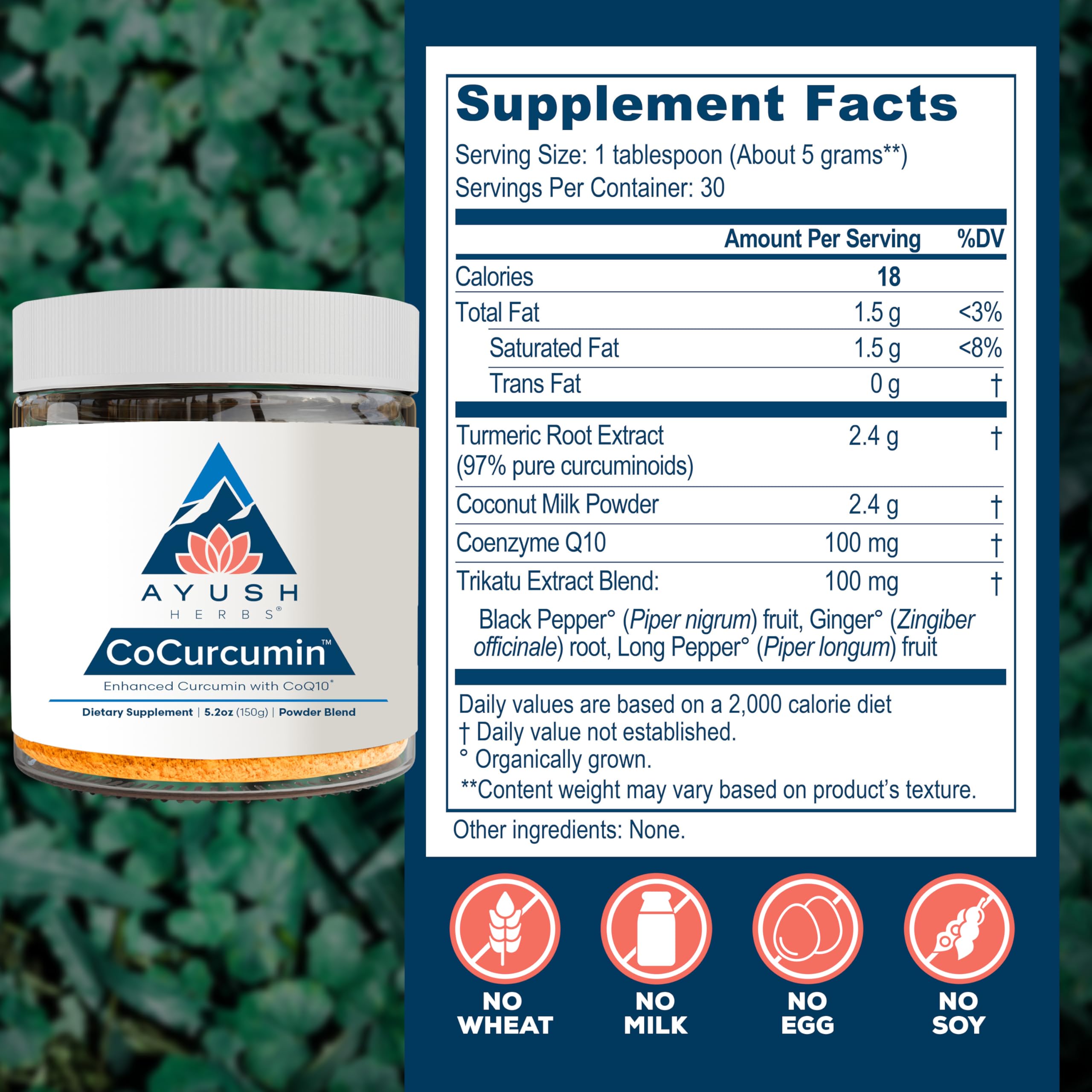 Ayush Herbs CoCurcumin bottle with ingredients emphasizes ginger and long pepper for digestion