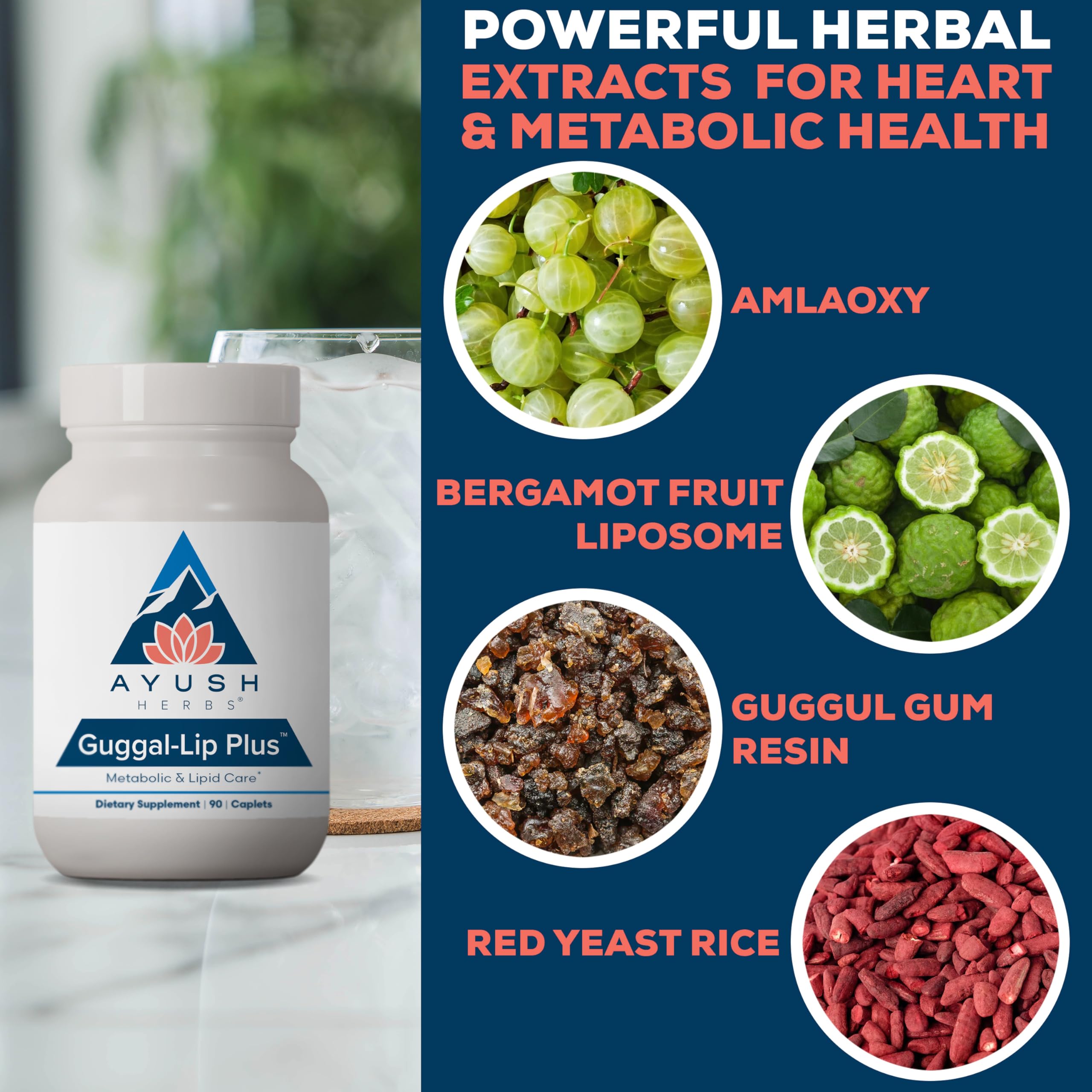 Ayush Herbs Guggal-Lip Plus guggul ingredient highlights resin-based benefits