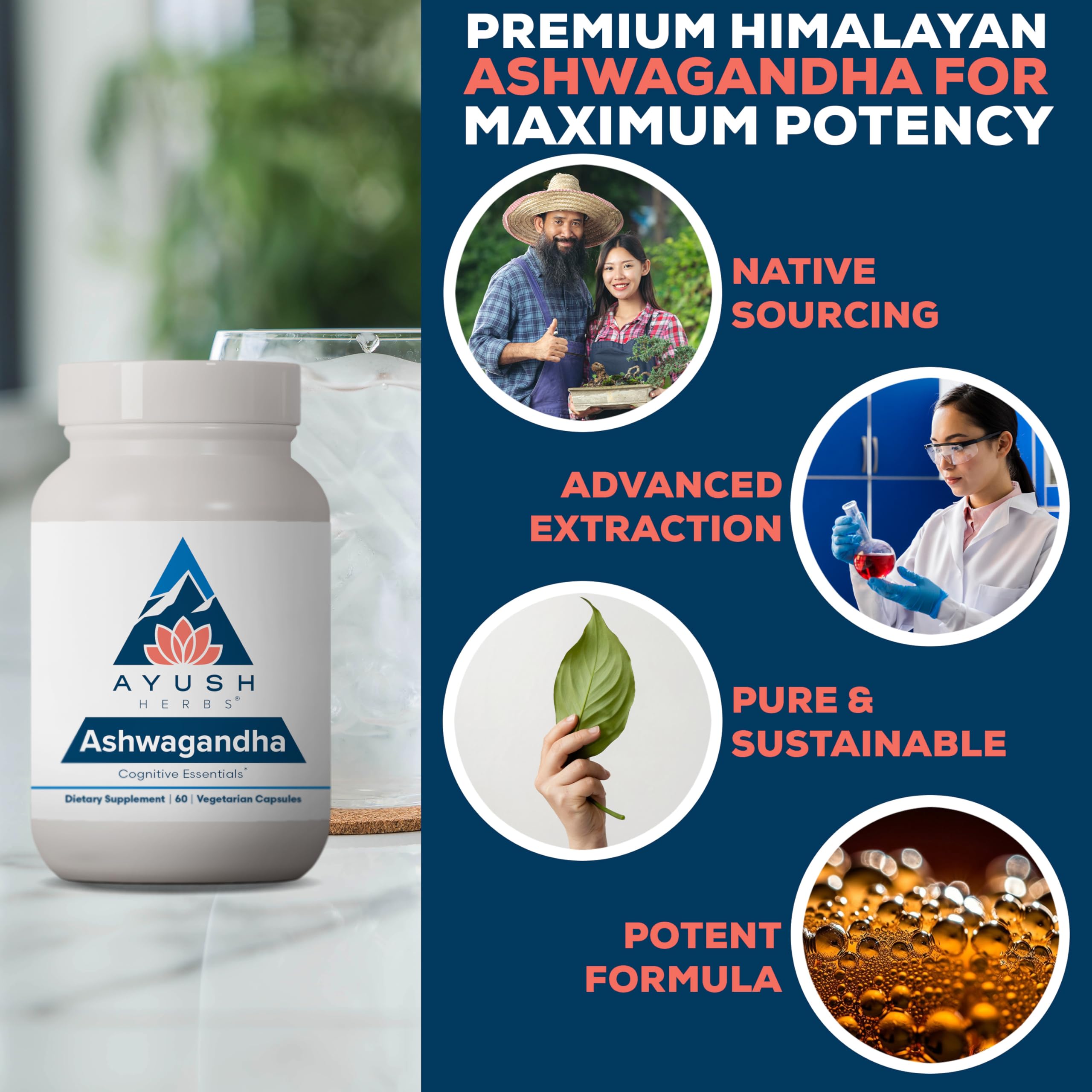 Ayush Herbs Himalayan ashwagandha roots in pristine field