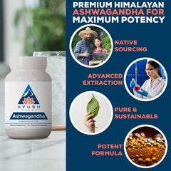 Ayush Herbs Himalayan ashwagandha roots in pristine field