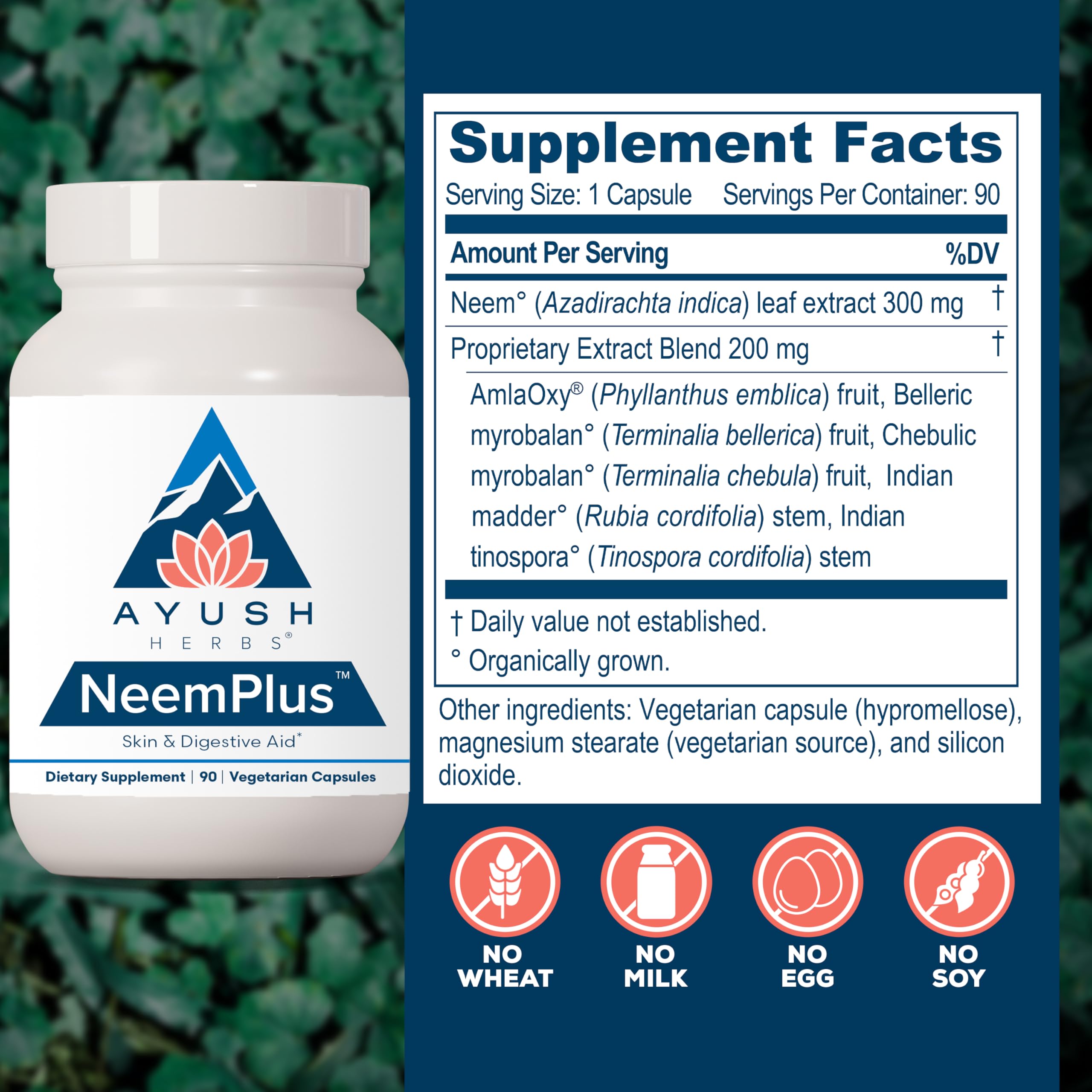 Ayush Herbs Neem Plus capsules close-up emphasizing vegetarian formula