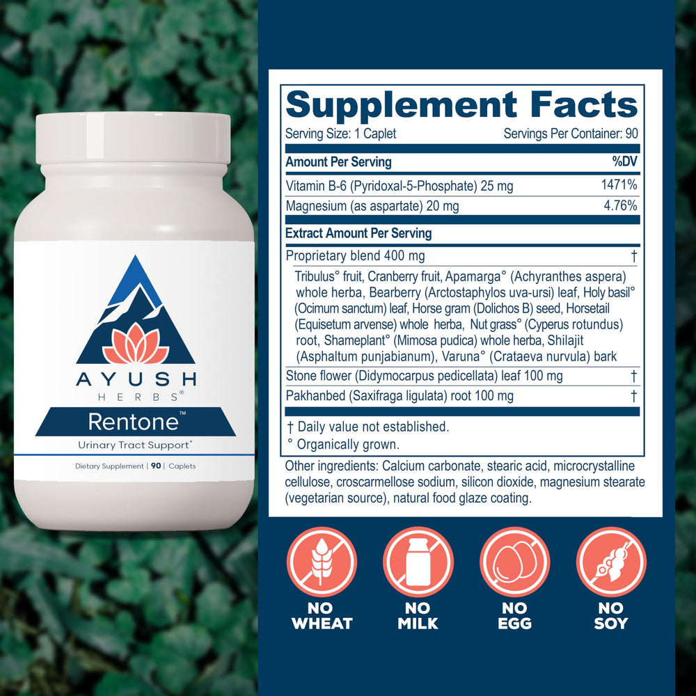 Uva Ursi herb illustration highlights natural urinary tract support.
