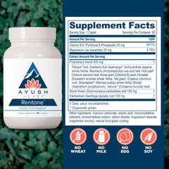 Uva Ursi herb illustration highlights natural urinary tract support.