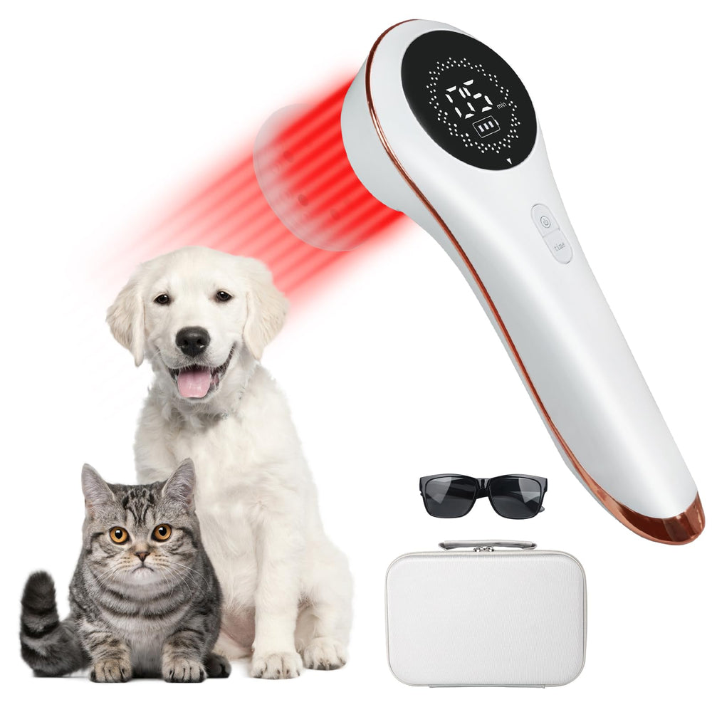 Azilaser handheld pet laser therapy device front view for convenient at-home treatment