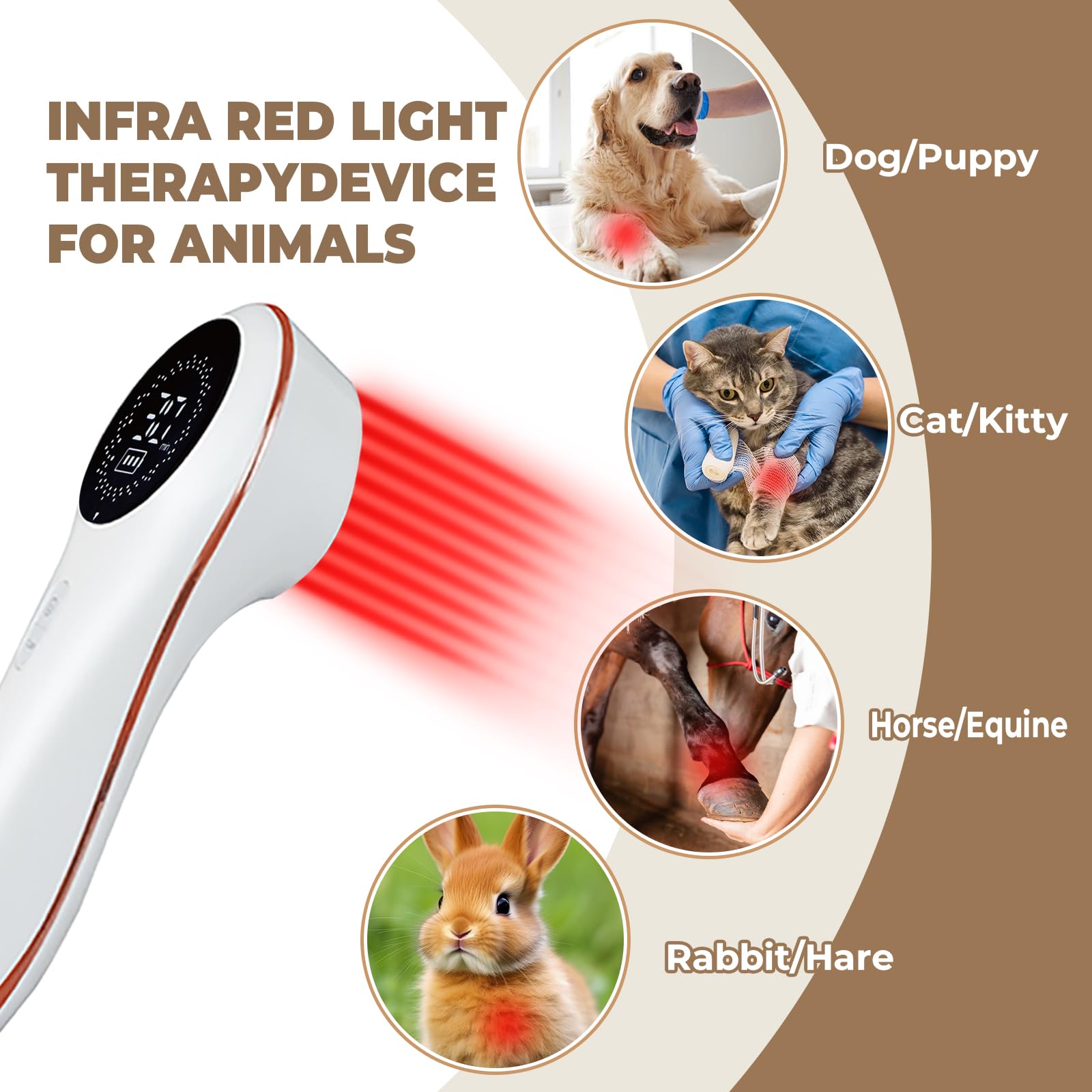 Azilaser laser head close-up highlighting 650nm red light therapy option