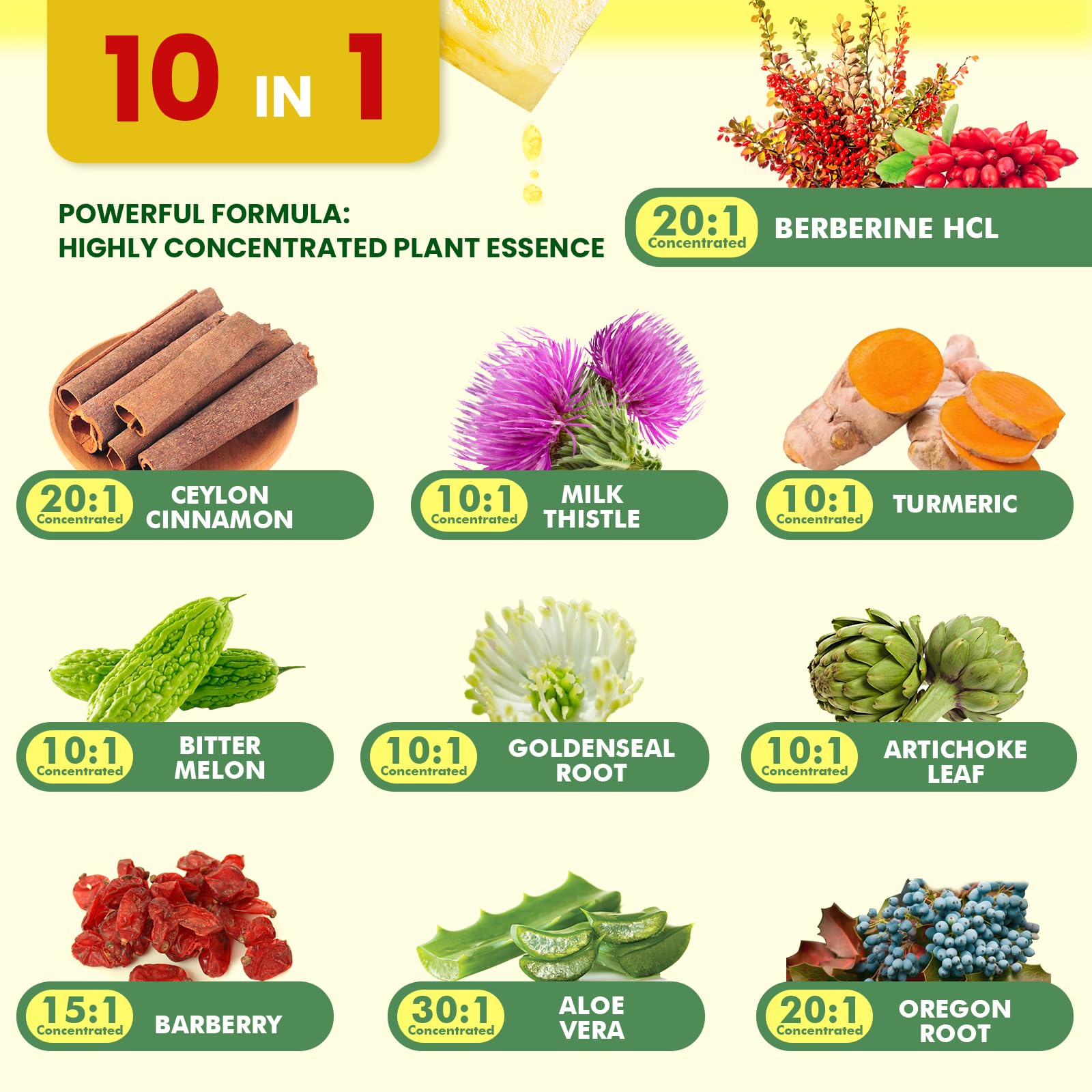 Berberine drops with tea for simple daily wellness routine.