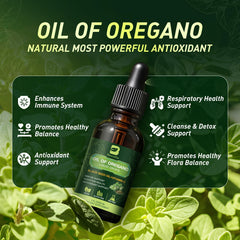 B BEWORTHS oregano oil drops carvacrol content highlighting potency and flavor