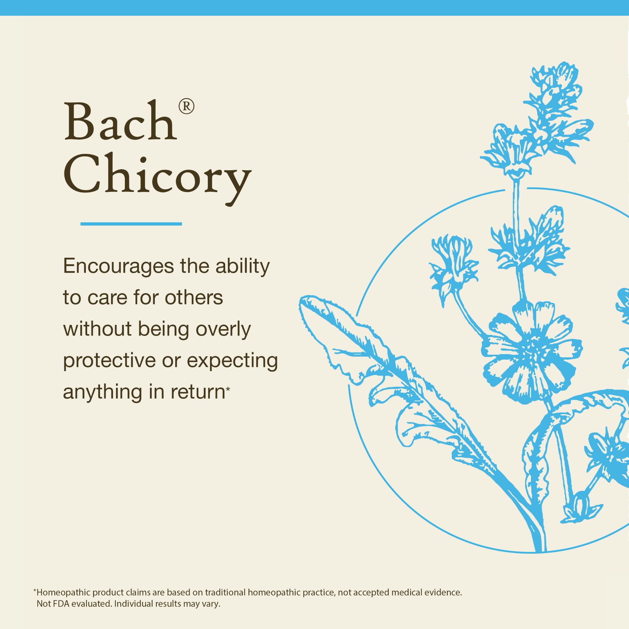 Bach Chicory bottle front displaying the original flower remedy