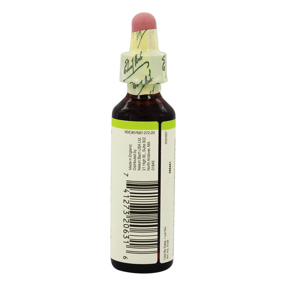 Bach Olive energy essence highlighted for natural emotional balance and resilience.