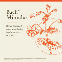 Bach Flower Remedies emotional balance essence natural floral support