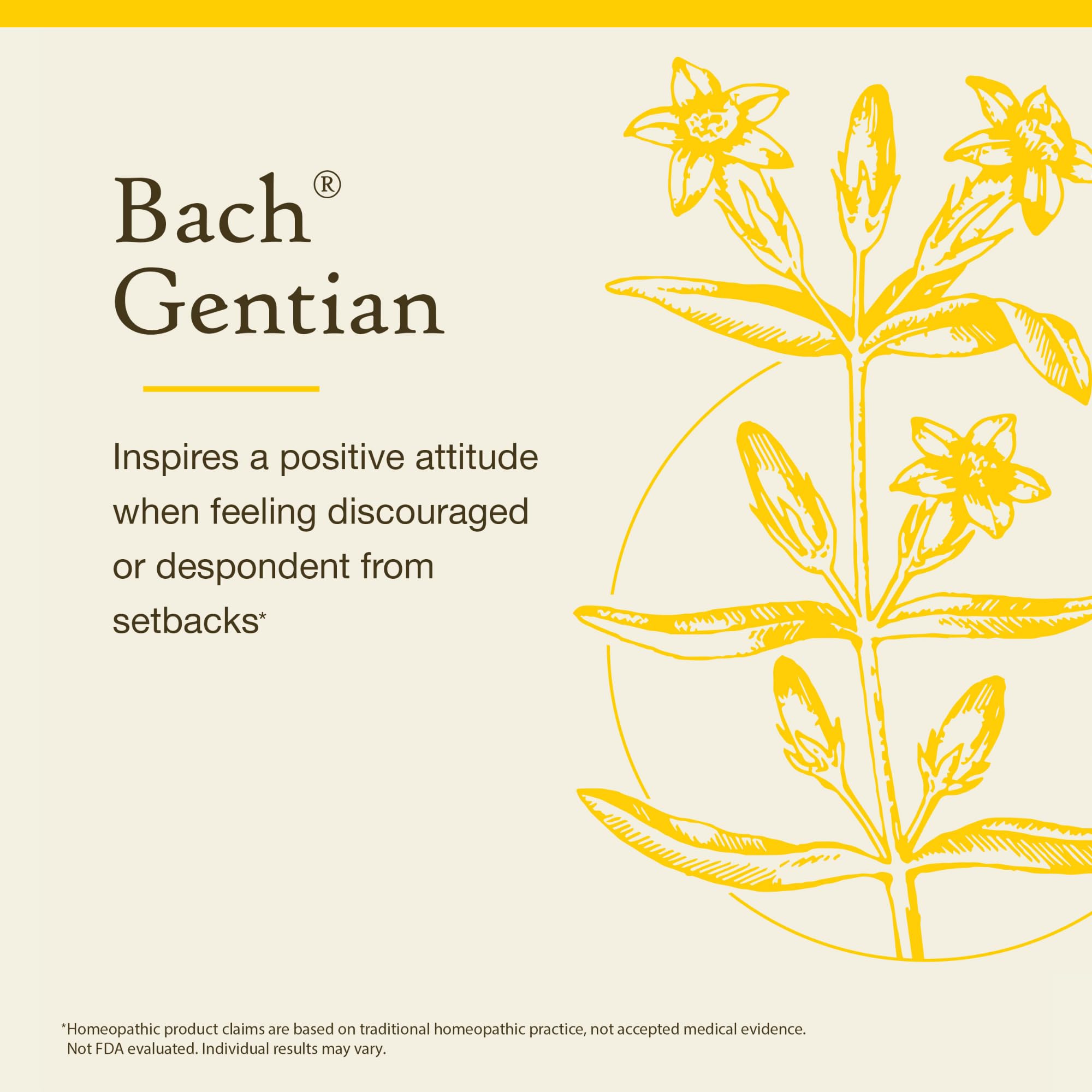 Bach Gentian drops under tongue ideal for quick setback support.