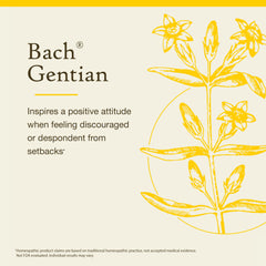 Bach Gentian drops under tongue ideal for quick setback support.