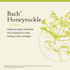 Packaging box of Bach Honeysuckle remedies on a clean surface.