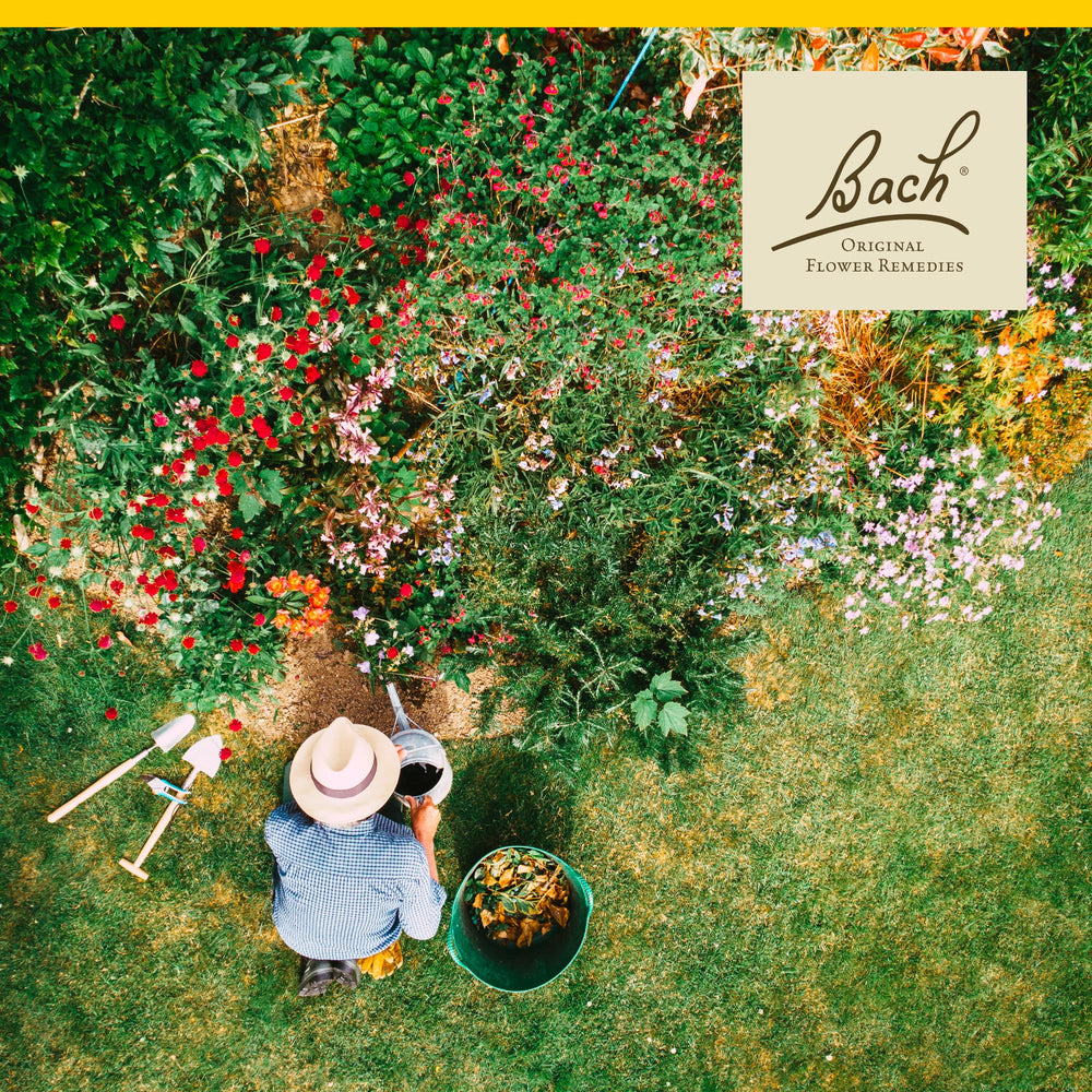 Bach Hornbeam label close-up highlighting plant-based formula
