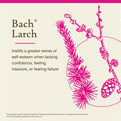 Label details of Bach Larch highlighting vegan, gluten-free formula