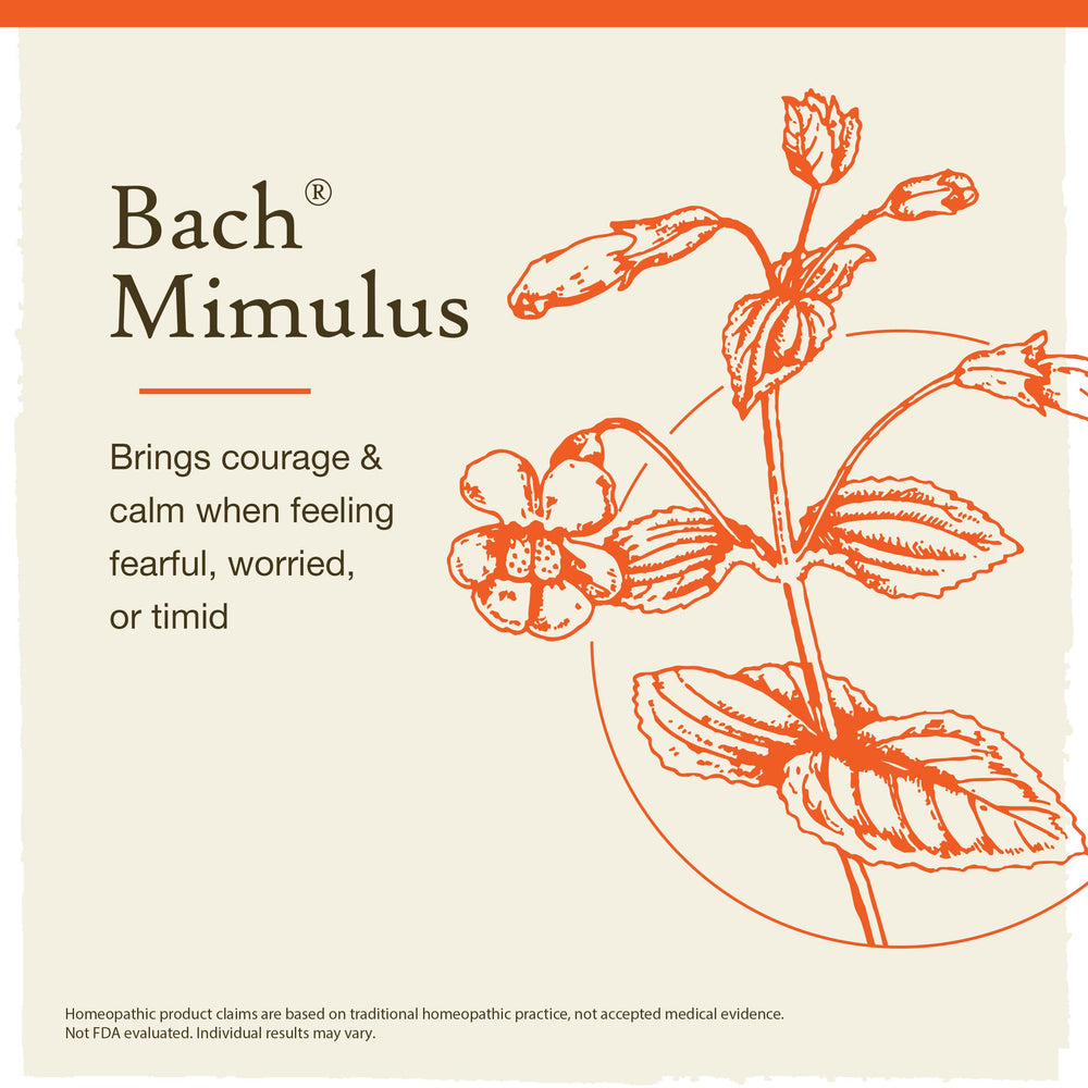Close-up of Mimulus flower with Bach Remedies branding.