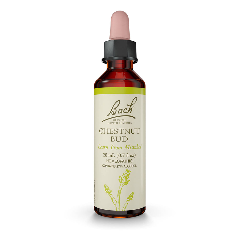 Bach Original Chestnut Bud bottle with dropper for daily emotional balance.