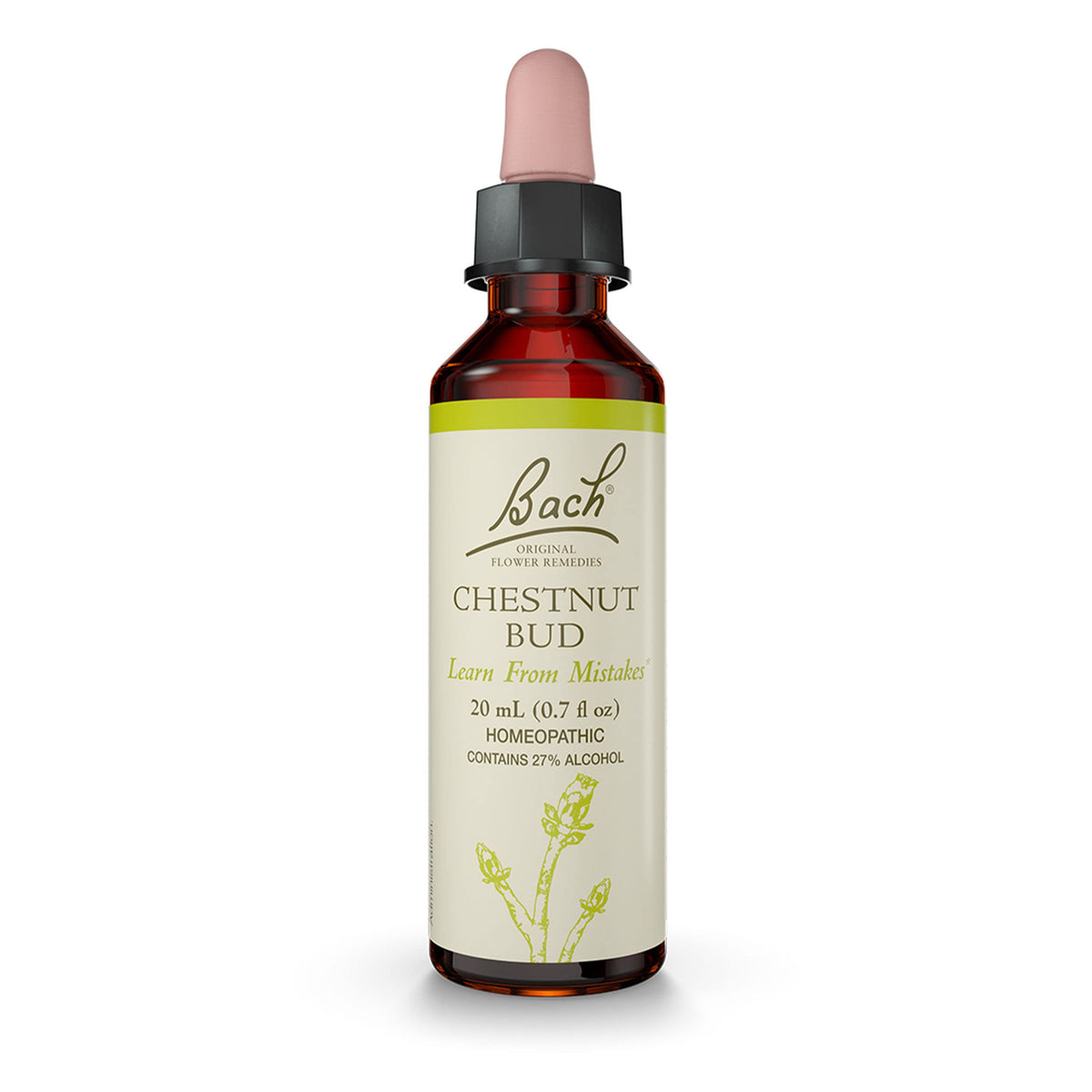 Bach Original Chestnut Bud bottle with dropper for daily emotional balance.
