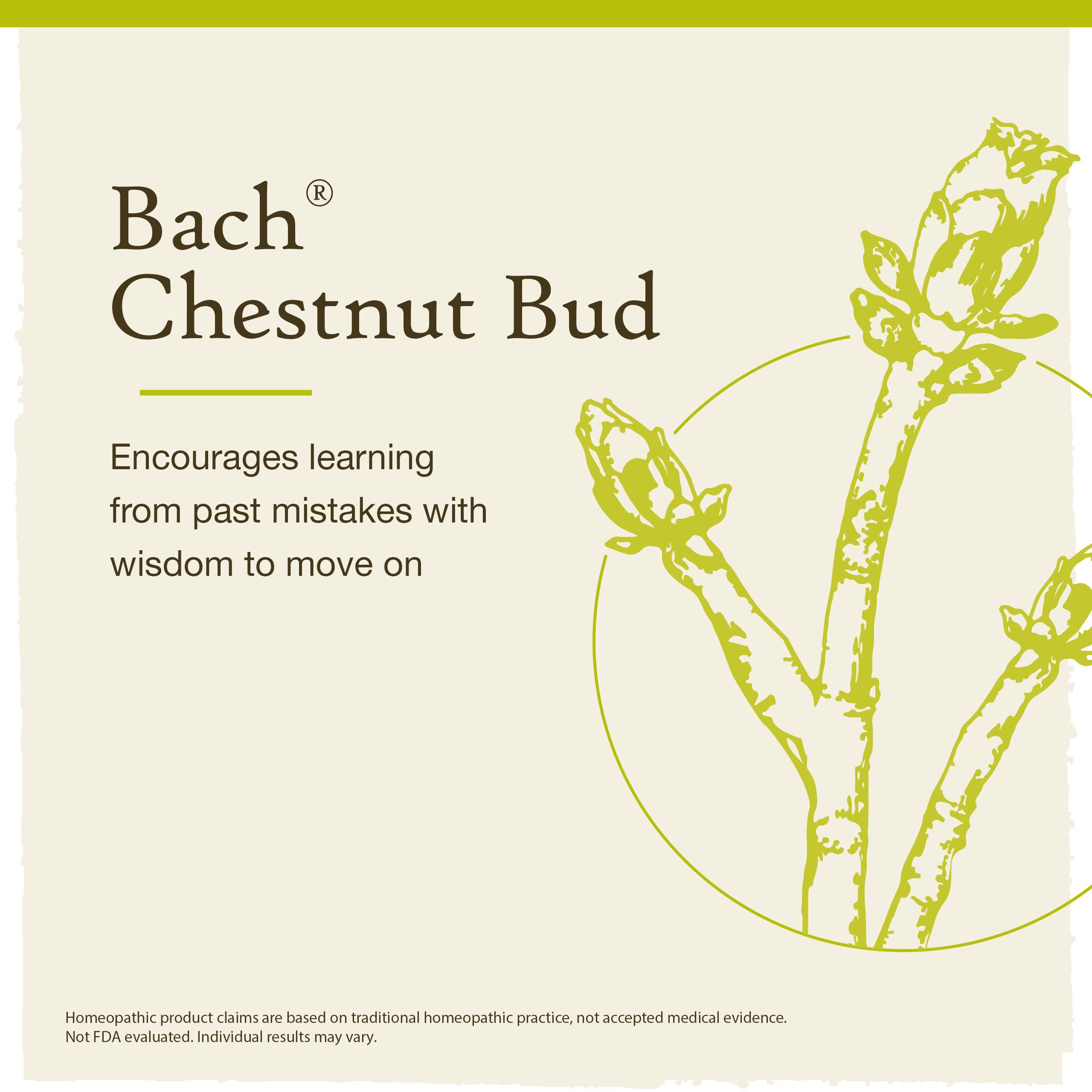 Bach Original Chestnut Bud drops under tongue support for flexible routines.