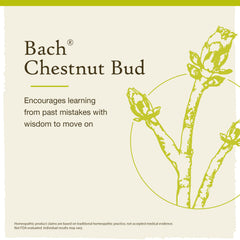 Bach Original Chestnut Bud drops under tongue support for flexible routines.