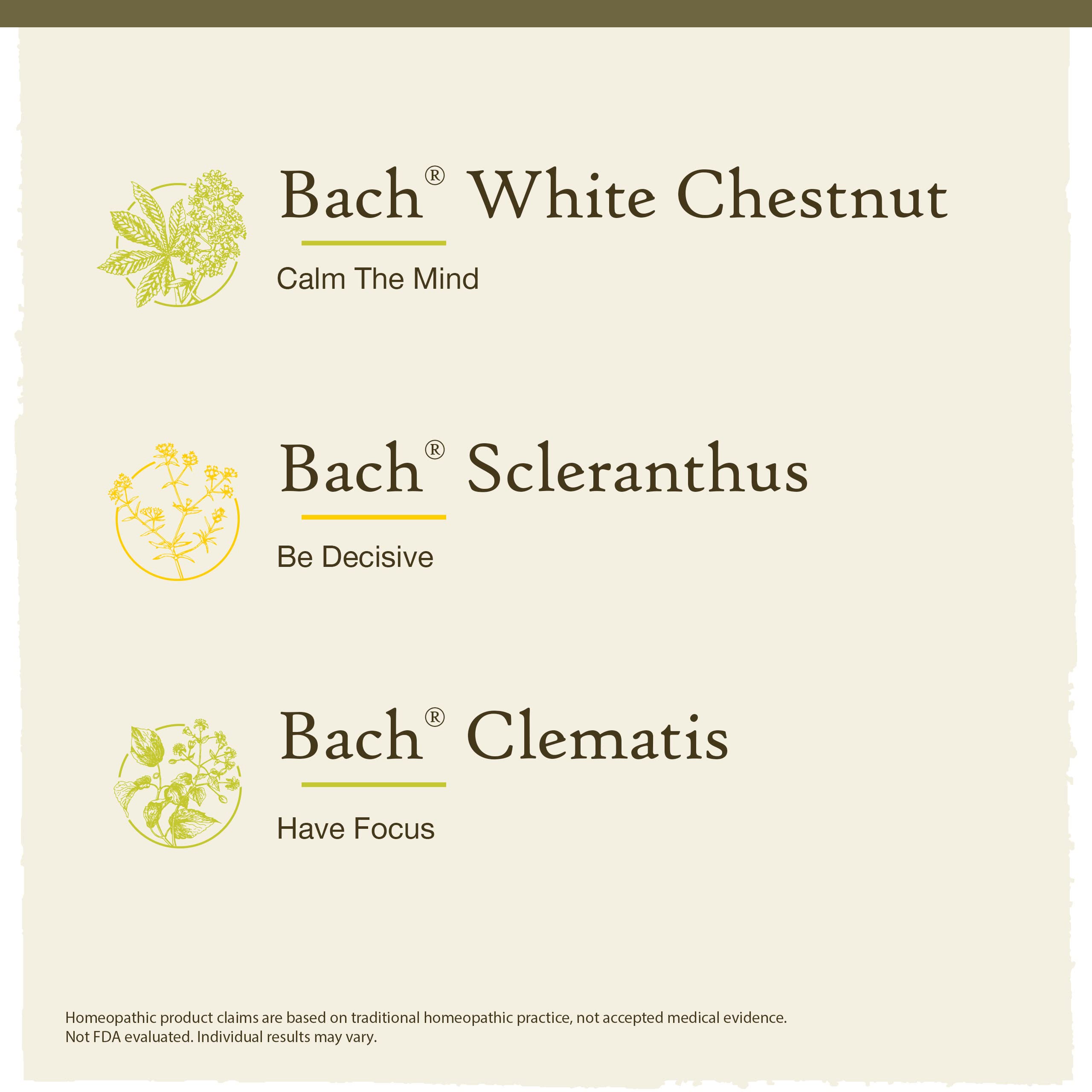 Bach Original Flower Remedies Clarity Kit bottle close-up reveals natural, vegan ingredients for daily balance.