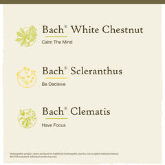 Bach Original Flower Remedies Clarity Kit bottle close-up reveals natural, vegan ingredients for daily balance.