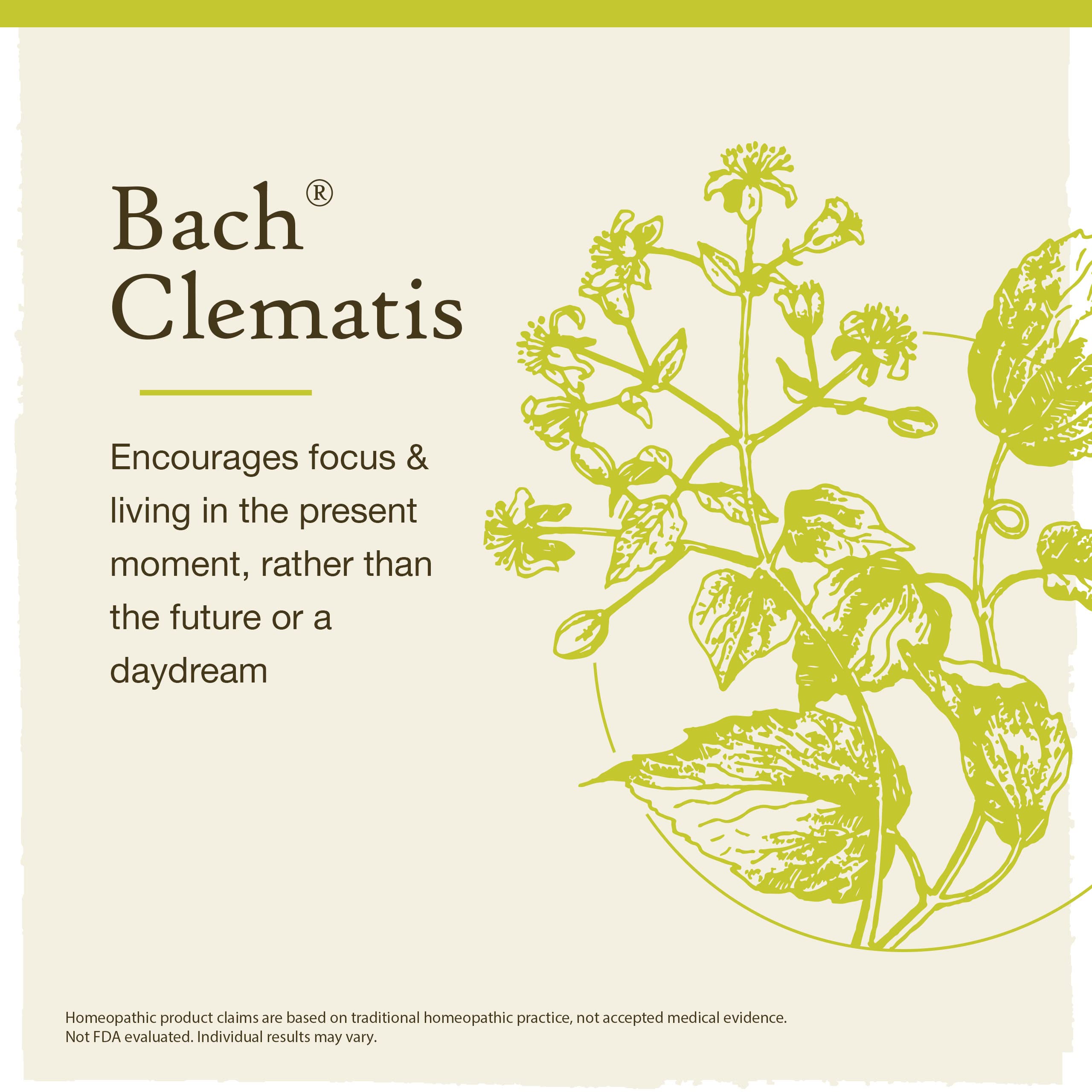 Close-up of the Clematis remedy label and branding.