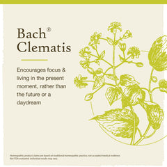 Close-up of the Clematis remedy label and branding.