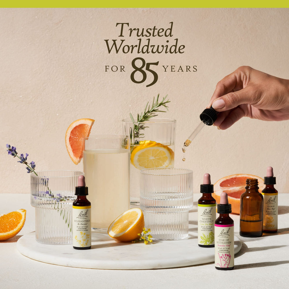 Packaging close-up highlighting vegan and allergen-free formula.