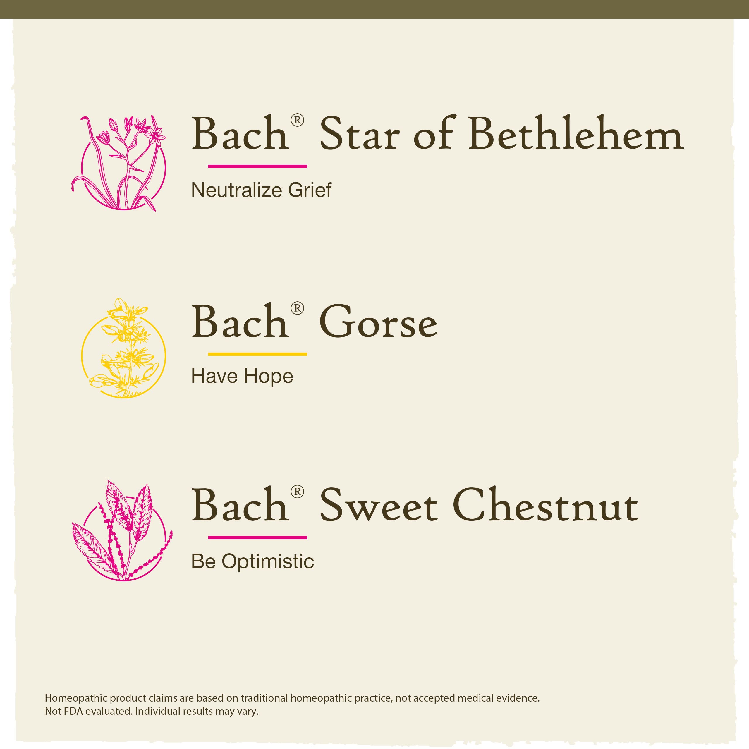 Bach Original Flower Remedies Sweet Chestnut bottle encourages optimistic outlook