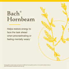 Close-up of Bach Original Flower Remedies Hornbeam bottle