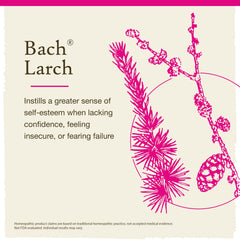 Larch bottle on a shelf for daily emotional balance.