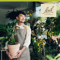 Bach remedies olive packaging highlights vegan and gluten-free features