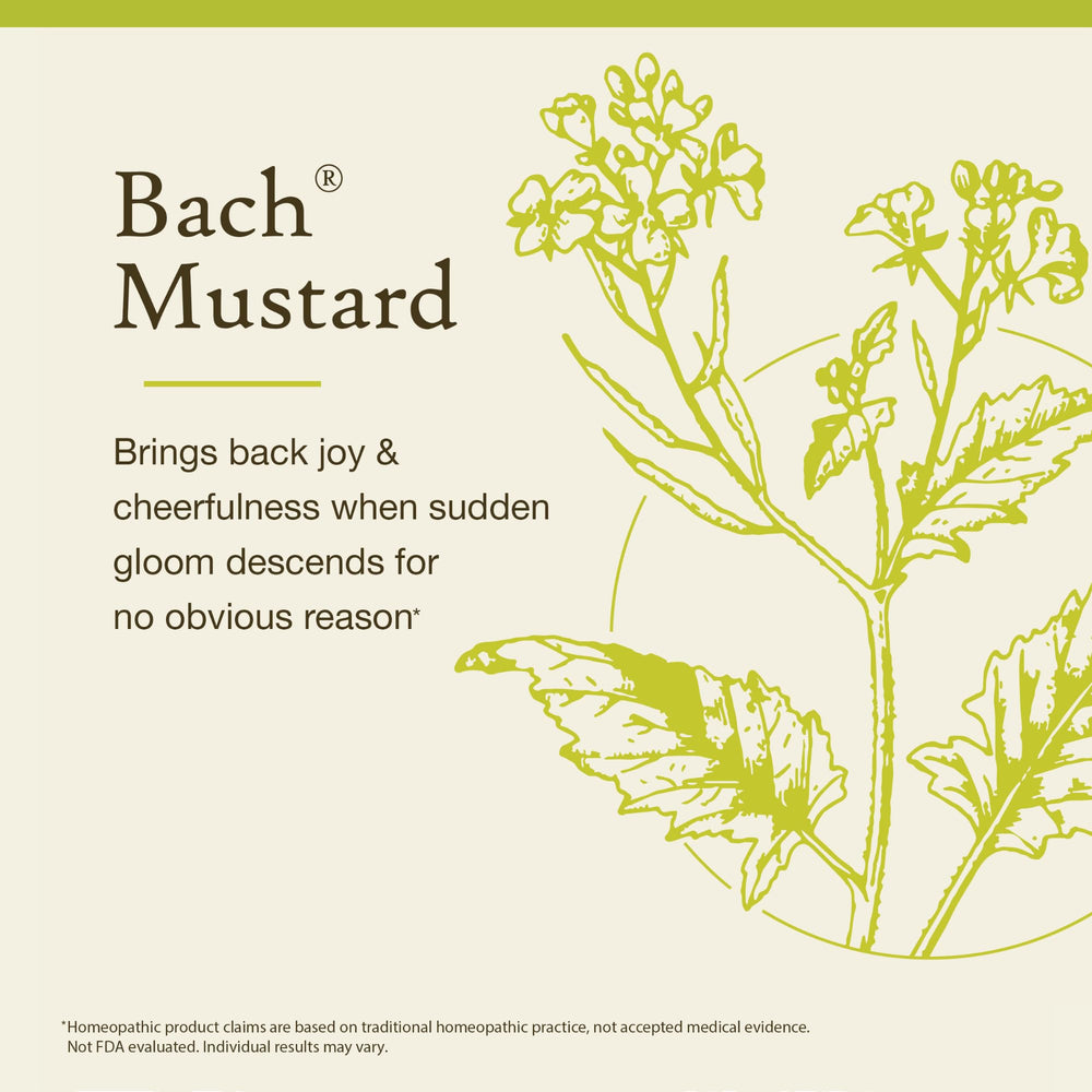 Bach Original Flower Remedies packaging box highlights natural ingredient approach.
