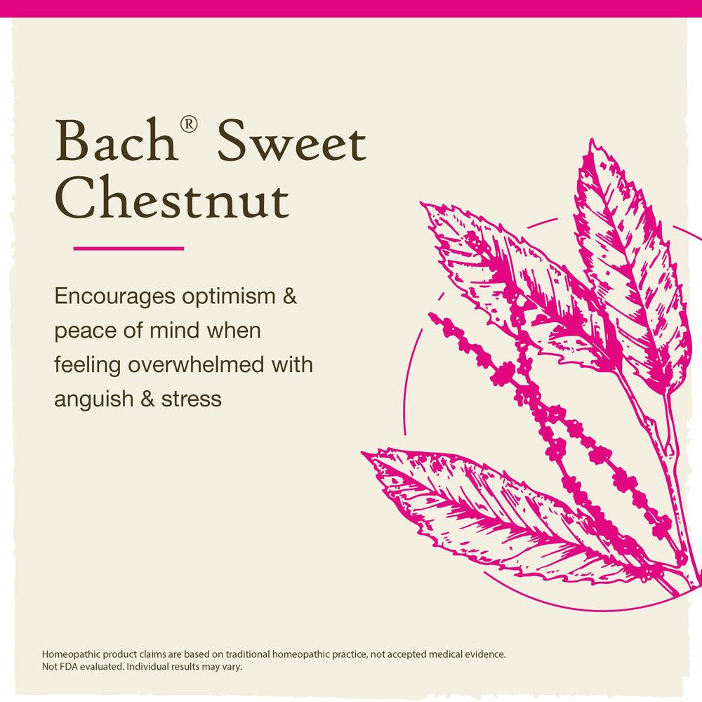 Label close-up highlighting vegan, gluten-free formula of Sweet Chestnut.