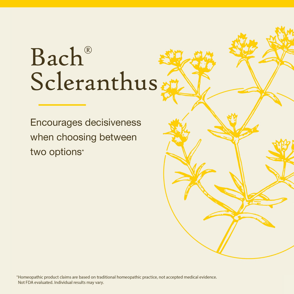 Bach Original Scleranthus label closeup: heritage and focus for balance
