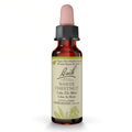 Bach Original White Chestnut - Non-Alcohol Formula for Calm The Mind | 10mL Dropper