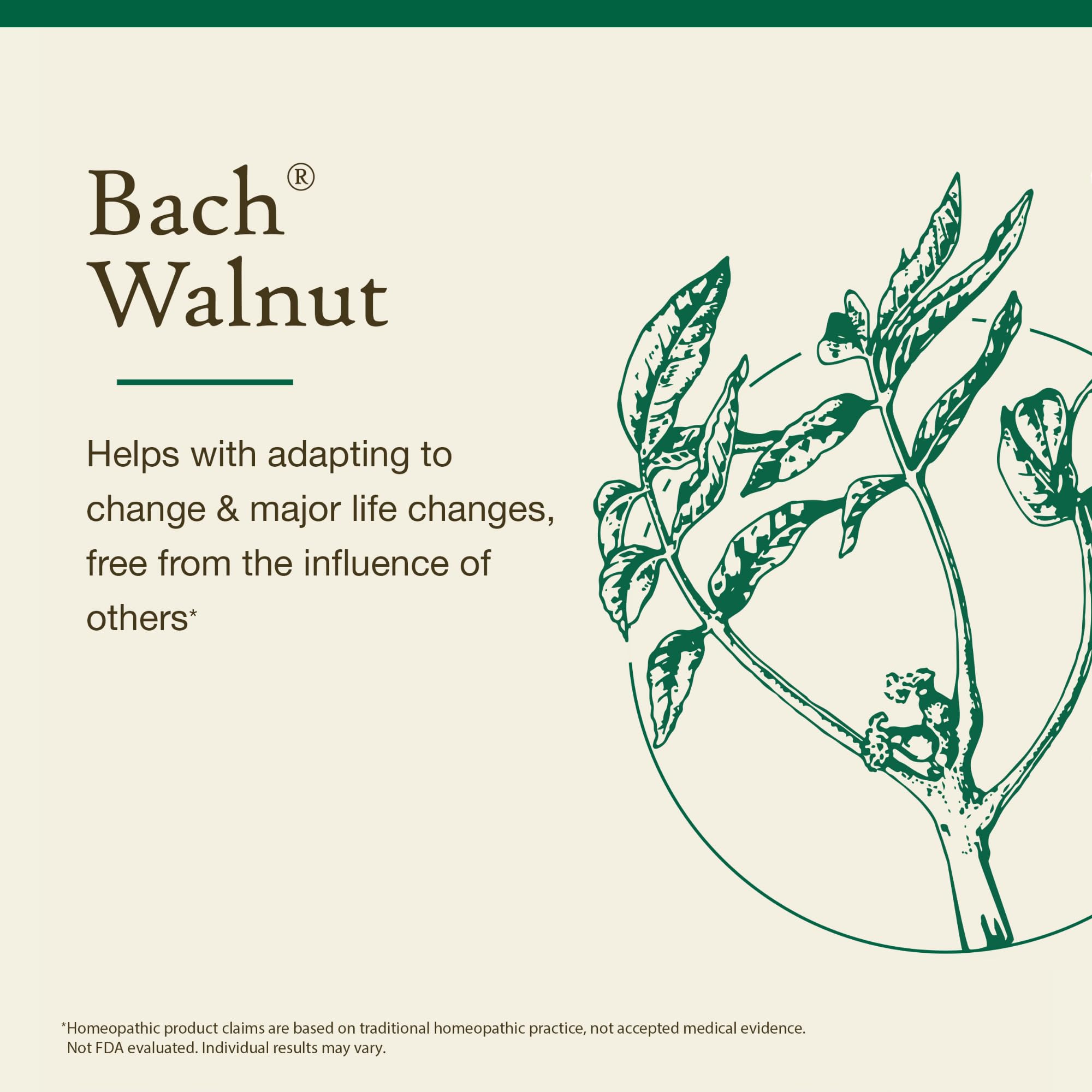 Bach Walnut non-alcohol dropper demonstrates easy, gentle application.