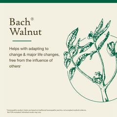 Bach Walnut non-alcohol dropper demonstrates easy, gentle application.