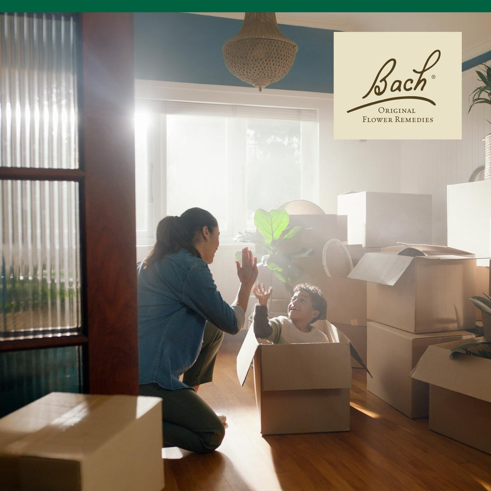 Bach Walnut packaging shows vegan, gluten-free, sugar-free formulation.