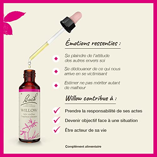 Willow bottle on wood surface highlighting natural flower remedy.