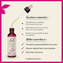 Willow bottle on wood surface highlighting natural flower remedy.